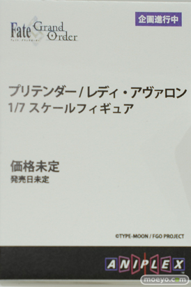 Fate/Grand Order Fes. 2023 夏祭り ～8th Anniversary～ アニプレックス フィギュア プリテンダー 12