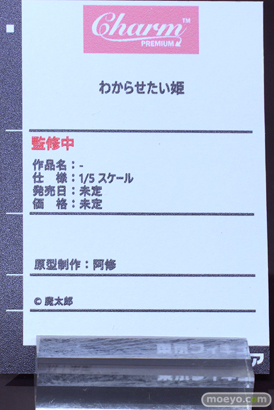 フィギュア ワンダーフェスティバル2023 [夏]  東京フィギュア MIWAKU  エロ キャストオフ 09