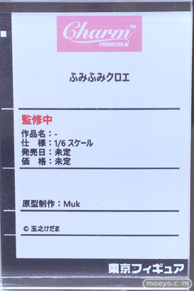 フィギュア ワンダーフェスティバル2023 [夏]  東京フィギュア MIWAKU  エロ キャストオフ 13