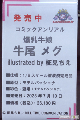 フィギュア ワンダーフェスティバル2023 [夏]  東京フィギュア MIWAKU  エロ キャストオフ 43