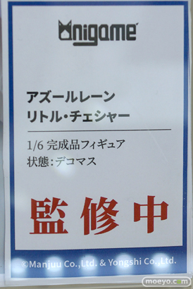 フィギュア ワンダーフェスティバル2023 [夏]  あみあみホビーキャンプ AniGame MAGI ARTS 09