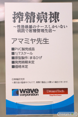 画像　フィギュア　サンプル　レビュー　ワンダーフェスティバル2023 [夏]　ウェーブ 
 12