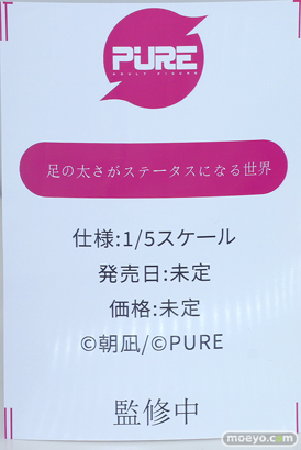 フィギュア ワンダーフェスティバル2023 [夏]  PURE 足の大きさがステータスになる世界 朝凪 エロ キャストオフ 20