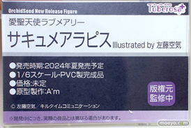 チューベローズプラス オーキッドシード 愛聖天使ラブメアリー サキュメアラピス A'm 佐藤空気 フィギュア ワンダーフェスティバル2023 [夏]  エロ キャストオフ 15