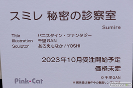 第5回 ネイティブグループ合同展示会（エロホビ） エロ フィギュア キャストオフ　セカンドアックス Pink・Cat 10