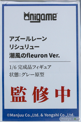 フィギュア ワンダーフェスティバル2023 [夏]  Anigame アズールレーン リシュリュー 潮風のfleuron Ver. 10