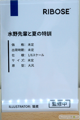 フィギュア ワンダーフェスティバル2023 [夏] RIBOSE 水の先輩と夏の特訓 大? 猫麦 10