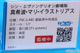 宮沢模型 第45回 商売繁盛セール ダイキ工業 アルファマックス スカイチューブ わんだらー F.W.A.T プラム 36