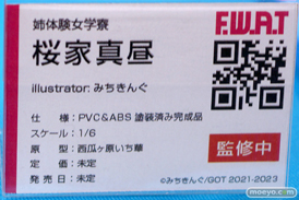 宮沢模型 第45回 商売繁盛セール ダイキ工業 アルファマックス スカイチューブ わんだらー F.W.A.T プラム 40