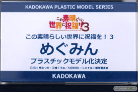 宮沢模型 第45回 商売繁盛セール ノクターン ベルファイン KADOKAWA ソル・インターナショナル 29