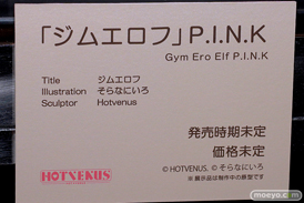 第6回 ネイティブグループ合同展示会（エロホビ） エロ フィギュア キャストオフ HOTVENUS そらなにいろ ジムエロフ PINK 25
