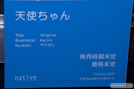 第6回 ネイティブグループ合同展示会（エロホビ） エロ フィギュア キャストオフ 天使ちゃん karory ヤドカリ ネイティブ 27