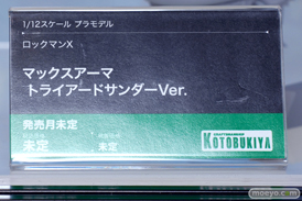 コトブキヤコレクション2024 コトブキヤ秋葉原館   マオ 朱羅 弓兵 56