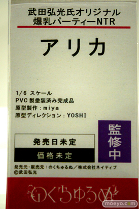ワンダーフェスティバル2024 [冬]  フィギュア ノクターン 鬼崎きらら 大人ゆきかぜ アリカ 19