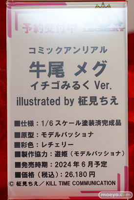 ワンダーフェスティバル2024 [冬]  フィギュア あみあみホビーキャンプSP エロ Lovely DOKIBOKKI AOKO Leisurely LEVEL MAX F.W.A.T 53