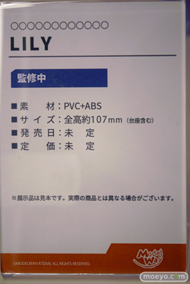 ワンダーフェスティバル2024 [冬]  フィギュア あみあみホビーキャンプ SHOWMON 橘猫工業 わんだらー 回天堂 Model Way HEARTSUM Astrum Design 44