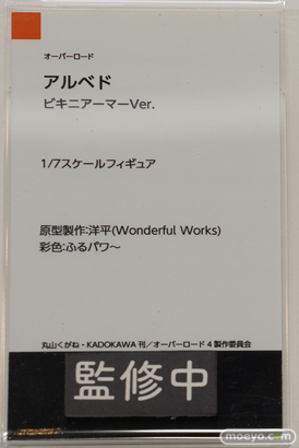 ワンダーフェスティバル2024 [冬]  フィギュア   Wonderful Works 13