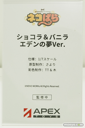 ワンダーフェスティバル2024 [冬]  フィギュア APEXTOYS 14