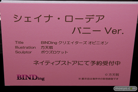 第7回 ネイティブグループ合同展示会（エロホビ） エロ フィギュア キャストオフ BINDing 12