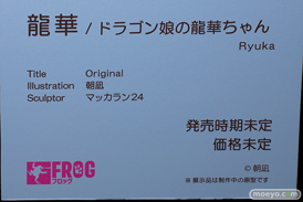 第7回 ネイティブグループ合同展示会（エロホビ） エロ フィギュア キャストオフ FROG 龍華 ドラゴン娘の龍華ちゃん 朝凪 マッカラン24 22