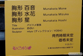 第10回 ネイティブグループ合同展示会（エロホビ） エロ フィギュア キャストオフ のくちゅるぬ パイハメ家族 胸形 百花 水花 星 おぶい YOSHI miya 42