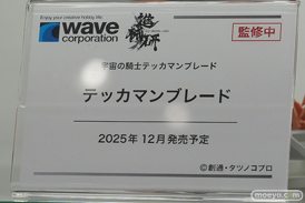 AnimeJapan 2025 Fate/Grand Order 魔法少女まどか☆マギカ　サテライト　タツノコプロ ADK 33